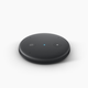 The Echo Input.